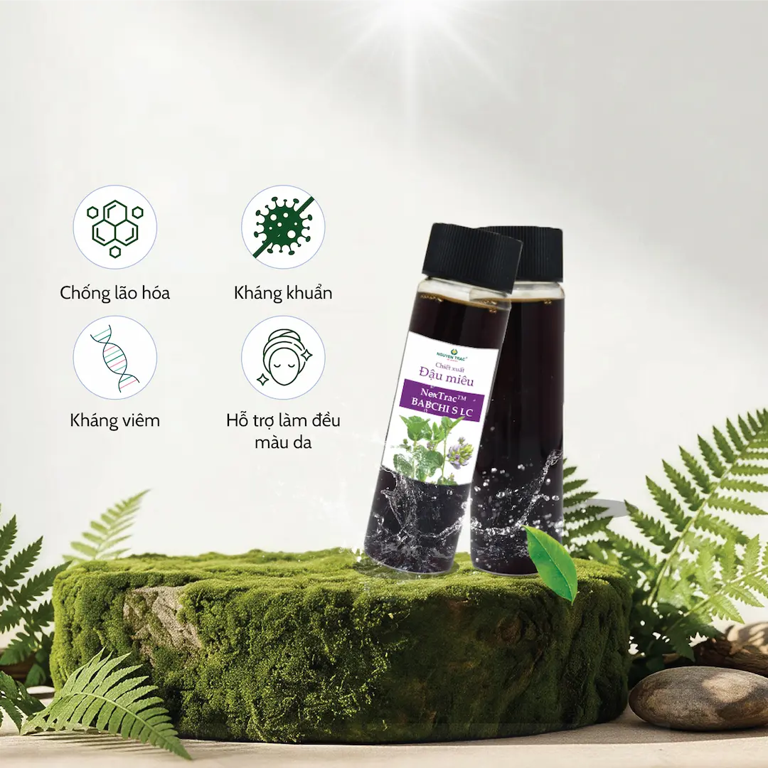 Chiết xuất đậu miêu tự nhiên - Nguyễn Trắc