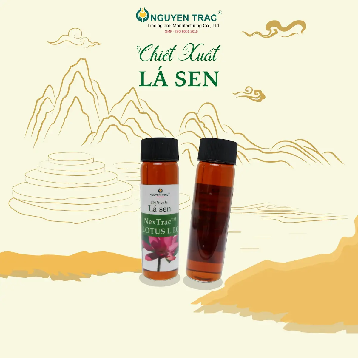 CHIẾT XUẤT LÁ SEN