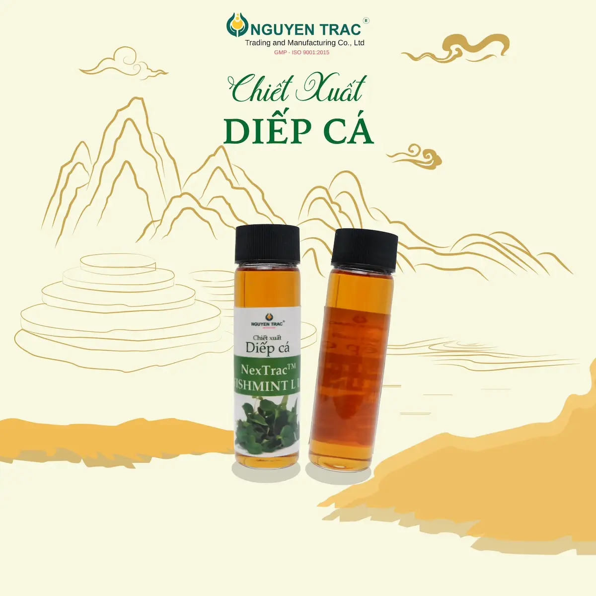 CHIẾT XUẤT DIẾP CÁ