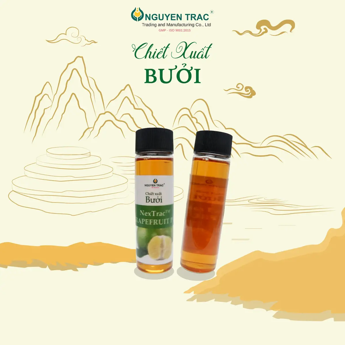 CHIẾT XUẤT BƯỞI