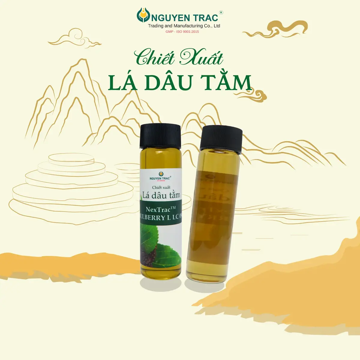 CHIẾT XUẤT LÁ DÂU TẰM