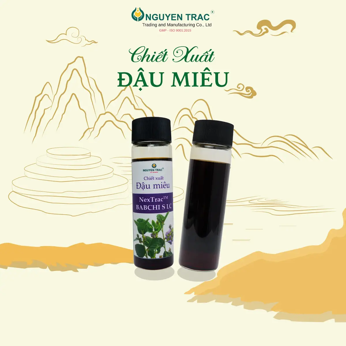 CHIẾT XUẤT ĐẬU MIÊU