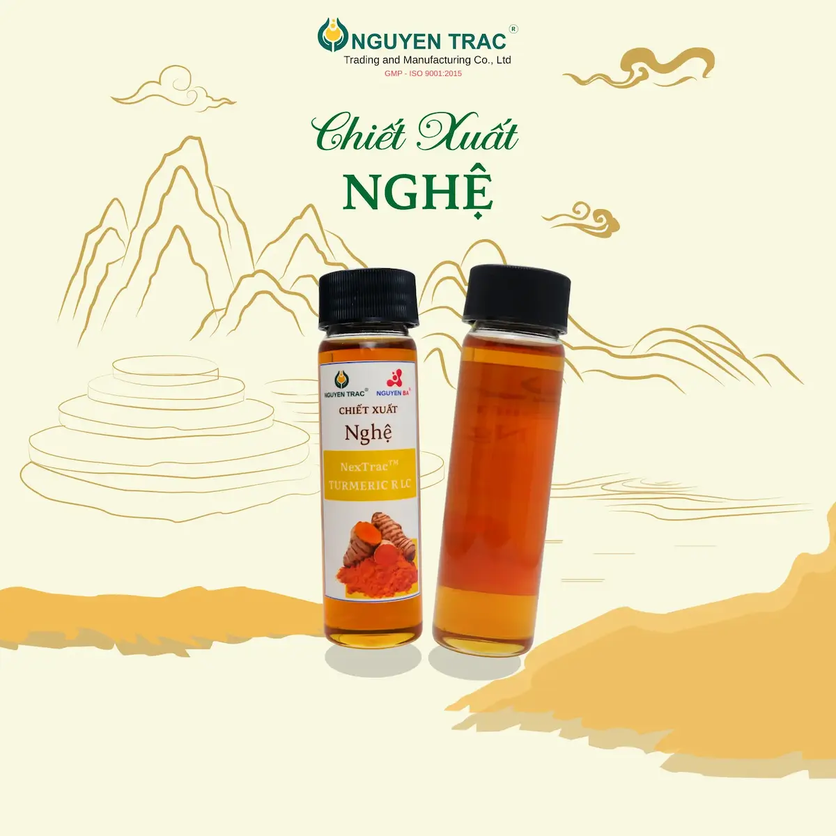 CHIẾT XUẤT NGHỆ
