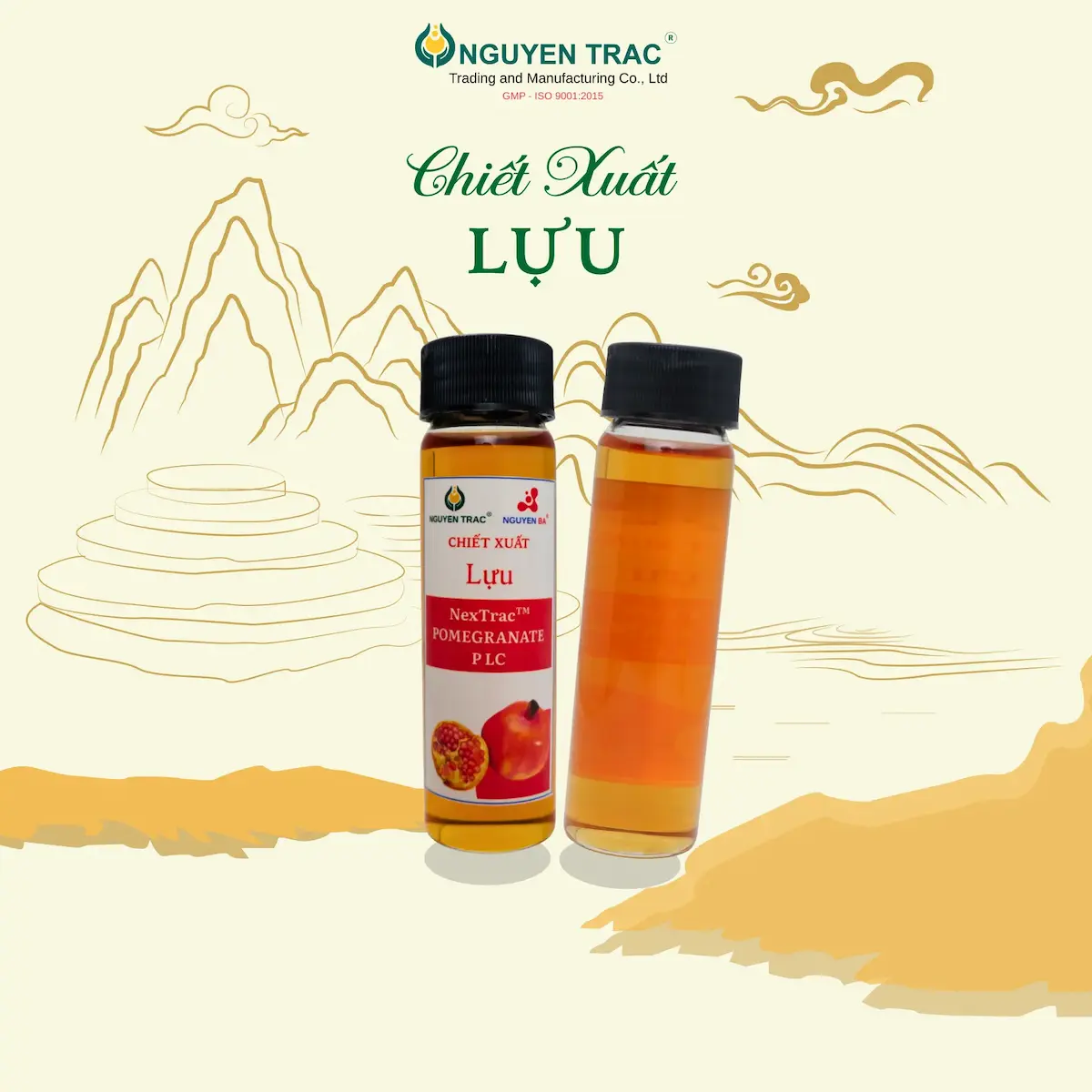CHIẾT XUẤT LỰU