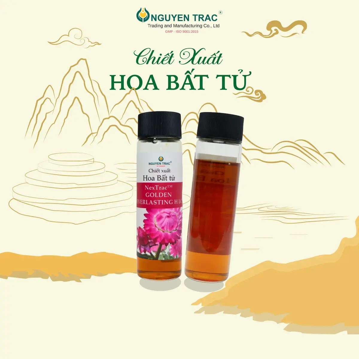 CHIẾT XUẤT BẤT TỬ