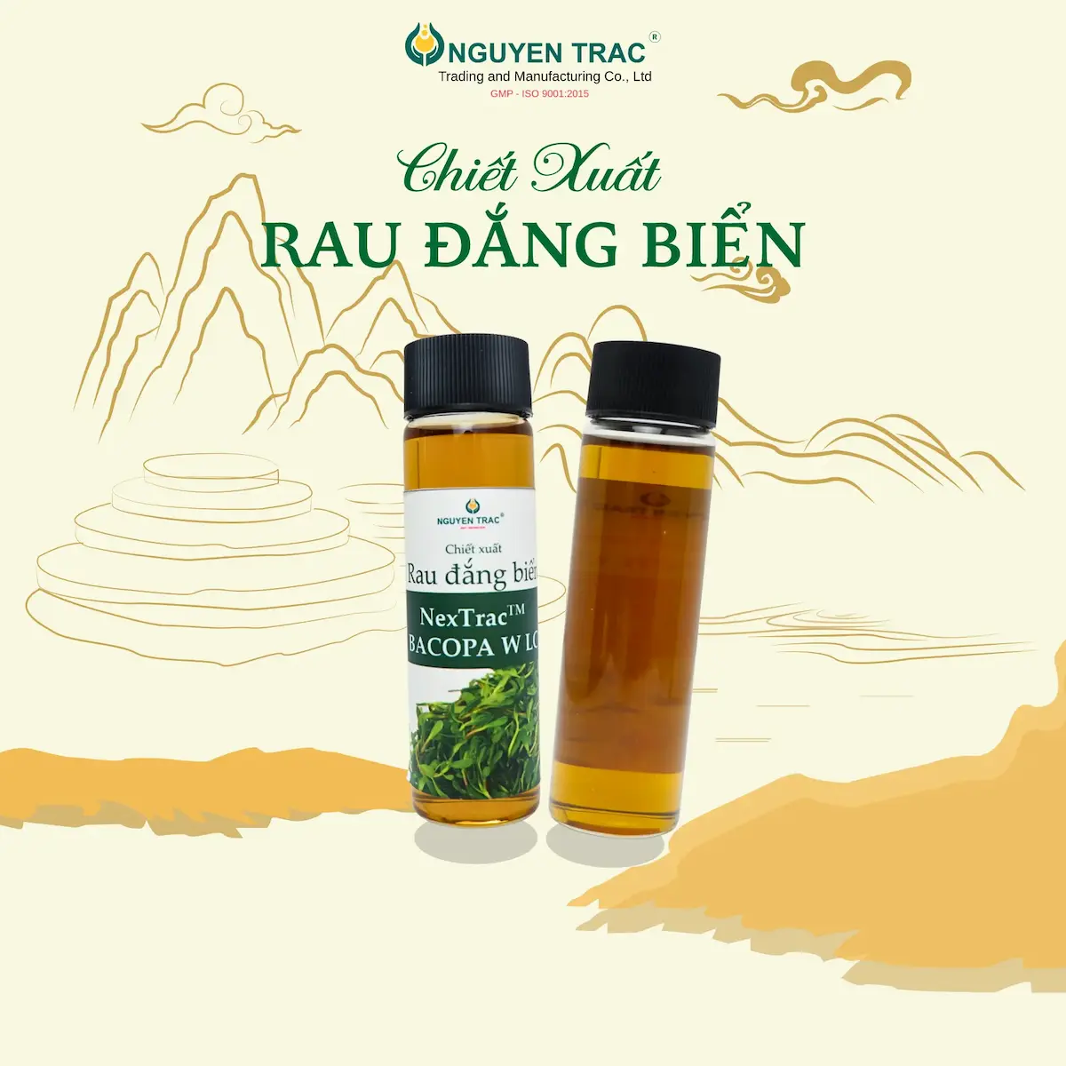 CHIẾT XUẤT RAU ĐẮNG BIỂN