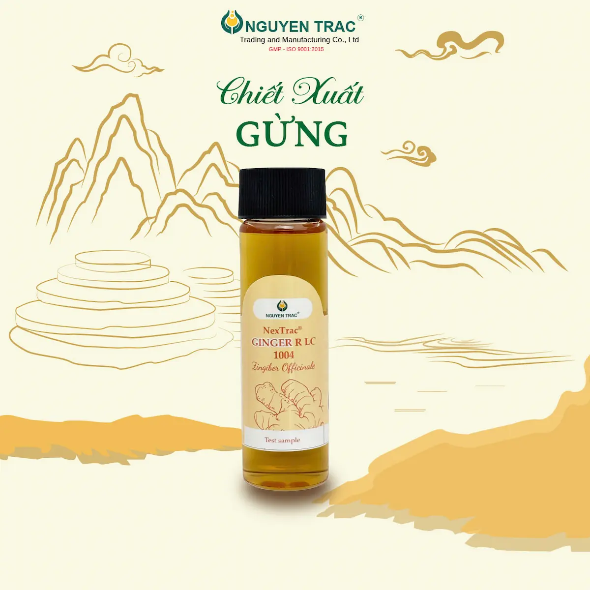 GINGER EXTRACT